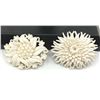 Image 1 : 2-VINTAGE WHITE CELLULOID FLOWER BROOCHES