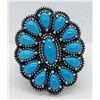 Image 1 : AMERICAN WEST SLEEPING BEAUTY TURQUOISE CLUSTER