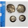 Image 3 : 2-PAIRS OF NATIVE AMERICAN PIERCED EARRINGS