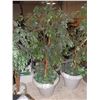 Image 1 : Decorative Tree