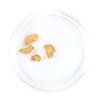 Image 2 : Lot of Gold Nuggets 1.35 Grams Gold Weight