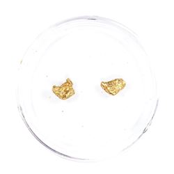 Lot of Gold Nuggets 1.84 Grams Gold Weight