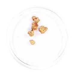 Lot of Gold Nuggets 2.02 Grams Gold Weight