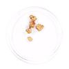 Image 1 : Lot of Gold Nuggets 2.02 Grams Gold Weight