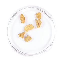 Lot of Gold Nuggets 1.87 Grams Gold Weight