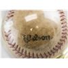 Image 3 : Autographed Baseball Signed Ernie White