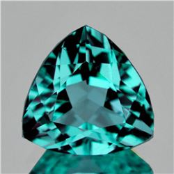 Natural AAA Fire Paraiba Green Blue Apatite - FL