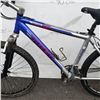 Image 2 : BLUE AND GREY TREK BIKE