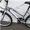 Image 2 : SILVER SUPERCYCLE BIKE