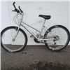Image 1 : PAINTED SILVER NO NAME BIKE