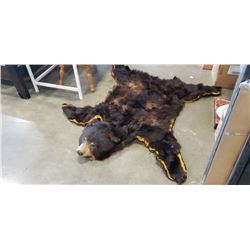 Bear skin rug