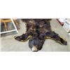 Image 2 : Bear skin rug