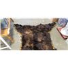 Image 3 : Bear skin rug
