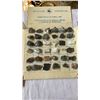 Image 2 : 2 TRAYS OF PROSPECTORS MINERAL CHIPS W/ DOCUMENTS