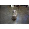 Image 1 : Two Foot wood carved bear