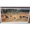 Image 2 : SORTING OUT THE NEIGHTBOURS CATTLE LEP BY JOHN SCHNURRENBERGER #25240