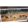 Image 3 : SORTING OUT THE NEIGHTBOURS CATTLE LEP BY JOHN SCHNURRENBERGER #25240