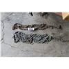 Image 1 : 2 LOGGING CHAINS