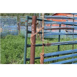 FREE STANDING GATE C/W GREEN GATE