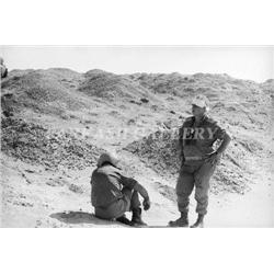 Israel charity: Photograph Uri Dan Destroy