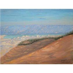 Israel charity: Landscape of the Dead Sea