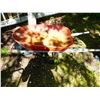 Image 1 : RED WHEEL BARROW