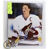 Image 1 : SHANE DOAN AUTOGRAPHED 8 X 10 PHOTO W/ COA