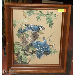 LARGE 3-D ART FRAMED BLUE JAYS WITH REAL FEATHERS