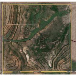 162 +/- Acres of Crop and Out Ground