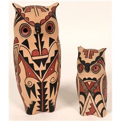 Two Jemez Owls (121014)