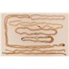 Image 1 : Gorgeous Freshwater Pearl Necklaces  (121215)
