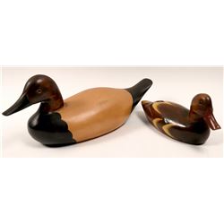 Canvasback and Mallard Hen decoys (110493)