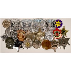 Toy Badges Collection  (119324)