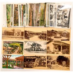 San Diego/Ramona, CA Postcards (102372)