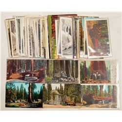 Sequoia/Kings Canyon Parks Postcards (103243)