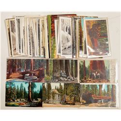 Sequoia/Kings Canyon Parks Postcards  (103243)