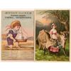 Image 1 : Glenbrook and Washoe Valley Nevada Trade Cards - Rare!  (113502)