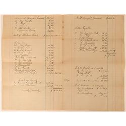 Pearson Springs Ledger Sheet  (113589)