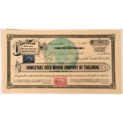 Homestake Gold Mining Co of Tuolumne Stock Certificate, 1898  (118424)