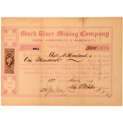 Black River Mining Co Stock, Gogebic Range,  Michigan, 1864  (118432)