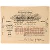 Image 1 : Oppenheimer Institute Stock Certificate, New York, 1904  (118449)