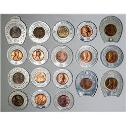 Encased Penny Collection  (119865)