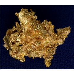 Spectacular South Comstock Crystalline Gold Specimen  (117930)