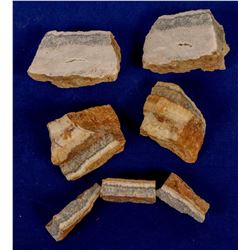 Goodshaw Vein High Grade Gold Specimens  (121665)