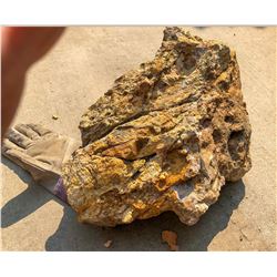 Large High-Grade Silver Gossan (122027)