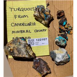 Turquoise from Candelaria  (122167)