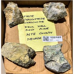 Pyrite and Chalcocite from Hall Moly Mine (122165)