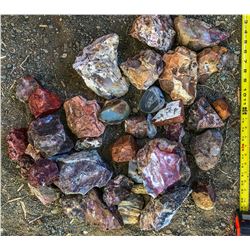Nevada and Oregon Agates (122174)