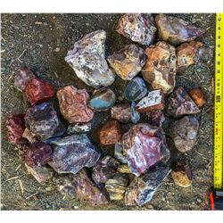 Nevada and Oregon Agates  (122174)