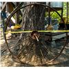 Image 1 : Antique Farm Yard Art Collection  (122716)